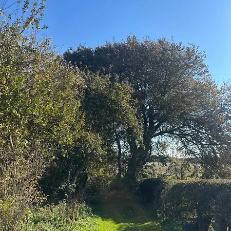 Yellowhammer Hut At Carr House Farm Kemping *