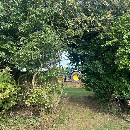 Yellowhammer Hut At Carr House Farm Kemping Cayton