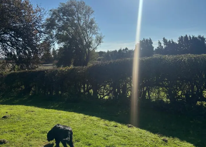 Yellowhammer Hut At Carr House Farm