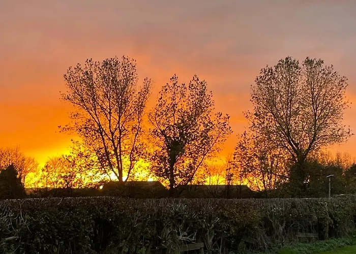 Camping Yellowhammer Hut At Carr House Farm