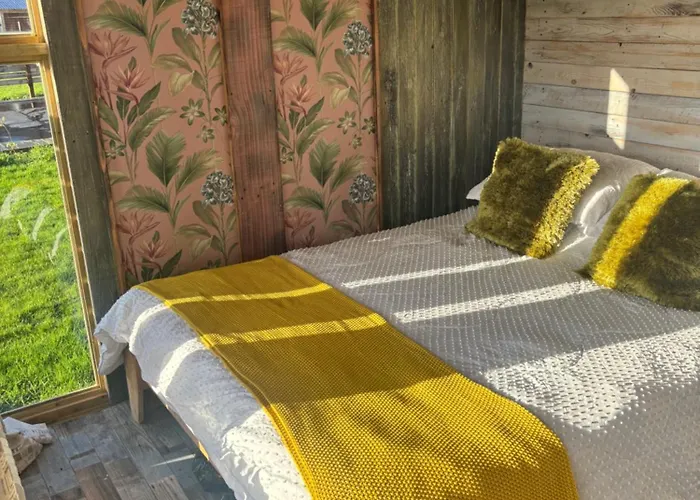 Yellowhammer Hut At Carr House Farm Camping Cayton