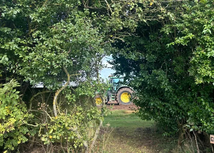 Yellowhammer Hut At Carr House Farm Camping Cayton