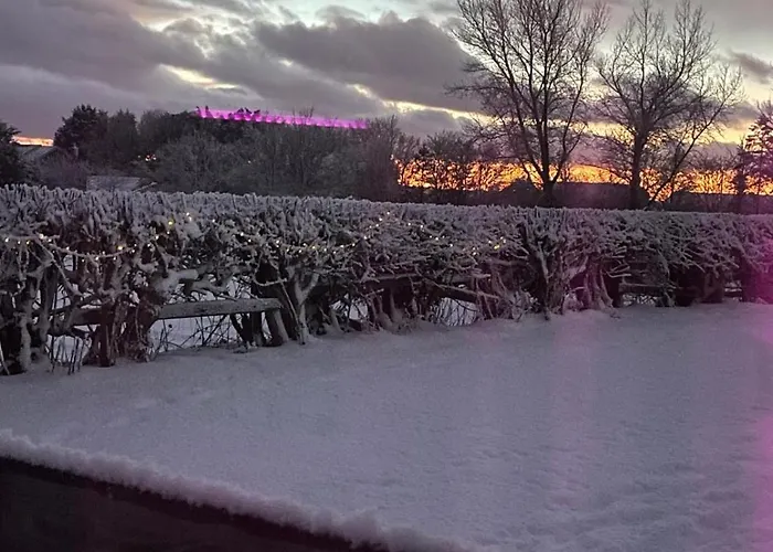Yellowhammer Hut At Carr House Farm Cayton