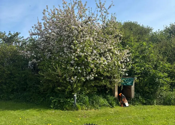 Yellowhammer Hut At Carr House Farm *