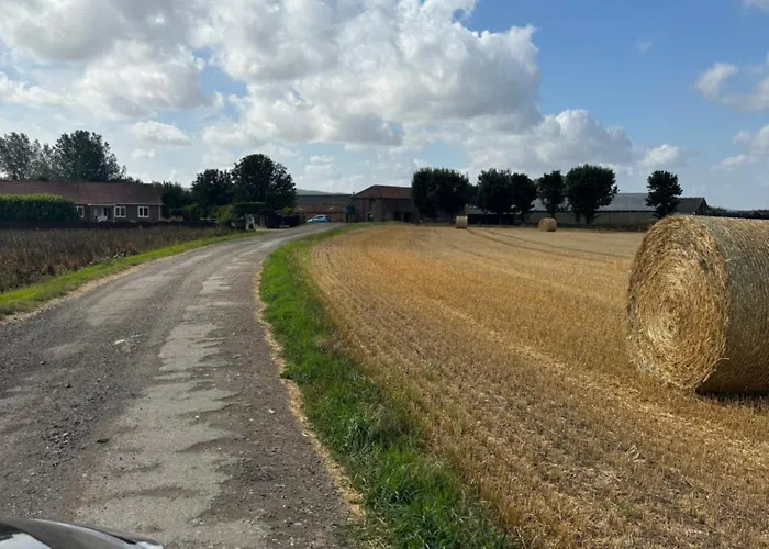 Yellowhammer Hut At Carr House Farm Camping *